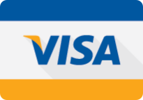 Visa Credit Card Logo